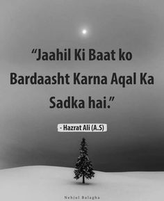 Islamic Quiz, Short Islamic Quotes, Imam Ali Quotes, Muslim Love Quotes, Hadith Quotes, Ali Quotes, Urdu Quotes With Images