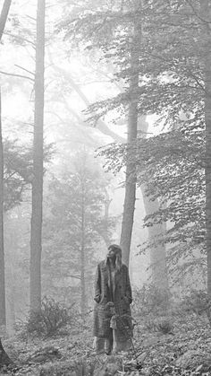 a man standing in the middle of a forest on a foggy, rainy day