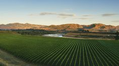 an aerial view of a farm with mountains in the background