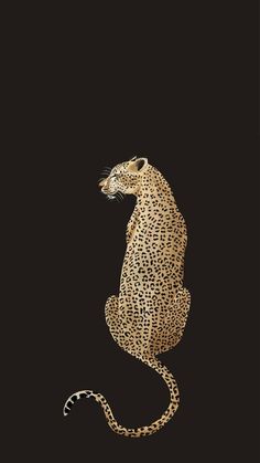 a leopard sitting on its hind legs in the dark