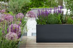 purple flowers are in black vases on a wooden table with greenery behind them