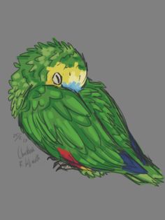 a drawing of a green parrot with yellow and blue on it's head sitting on a branch