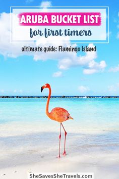 Planning a trip to Aruba? This is a must-see! This is everything you need to know before you go to Flamingo Island, Aruba. Aruba Things to Do | What to Do in Aruba | Aruba Photography | Caribbean Vacations | Caribbean Travel | Aruba Travel Tips | Aruba Travel Guide | Aruba Pictures | Flamingo Beach Aruba | Palm Island | Caribbean Islands | Dream Vacation Spots | Top Places to Travel | Bucket List Destinations Aruba Pictures, Flamingo Beach Aruba, Aruba Photography, Island Caribbean, Aruba Travel, Dream Vacation Spots, Top Places To Travel, Palm Island, Flamingo Beach