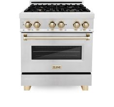 a silver stove with four burners and two oven doors on each side, in front of a white background