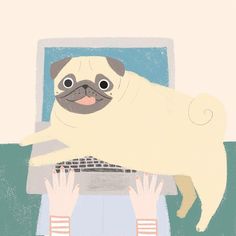 a pug dog sitting on top of a laptop computer with its paws over the keyboard