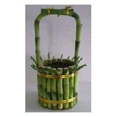 a bamboo basket filled with lots of small green sticks and some gold trimmings