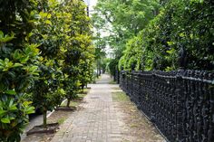 an iron fence is lined with trees and bushes along a brick path in the park