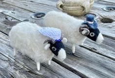 two sheep with hats are standing on a wooden table