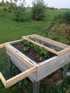 a raised garden bed with plants growing in the top and bottom half, on a grassy field