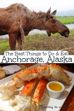 the best things to do and eat in anchorage, alaska