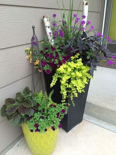 two large planters with plants in them on the side of a house