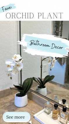 bathroom decor with orchids in a white vase on the counter and an orchid plant next to it