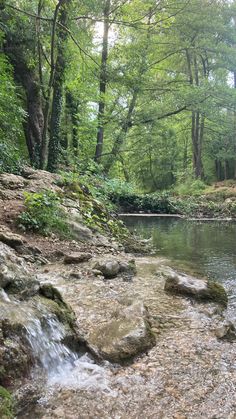 a stream running through a lush green forest filled with rocks and trees in the distance