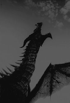 a black and white photo of a dragon flying in the sky