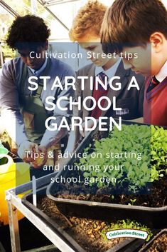 children working in a school garden with text overlay that reads, cultivation streets starting a school garden tips & advice on starting and running your school