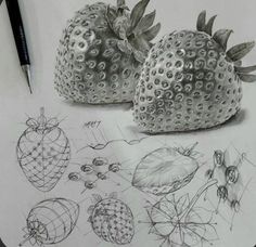 a pencil drawing of strawberries and other fruit