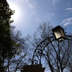 a street light sitting under a blue sky next to some tree's in the background