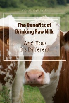 The Benefits of Drinking Raw Milk and How It's Different | Feasting On Joy Cow Milk Benefits, Cheese Benefits, Jersey Cow Milk, Milk Facts, Milk Nutrition, Local Milk, Nourishing Traditions, L Tyrosine