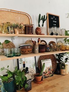 the shelves are filled with plants and other items for sale on it's own shelf