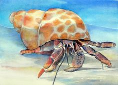 a watercolor painting of a large crab on the beach with its head under it's shell