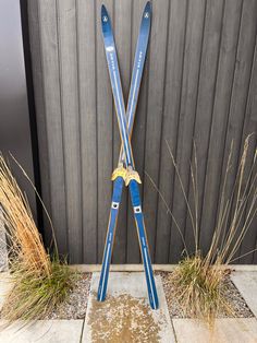 two skis are propped up against the side of a building with grass growing on it