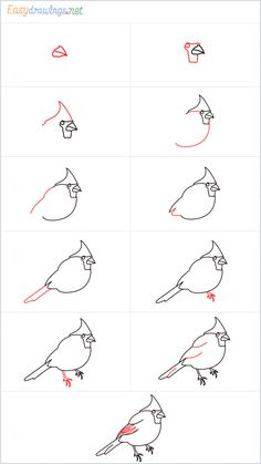 how to draw birds step by step for kids and beginners in this video, you can