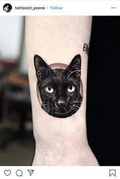 a black cat with green eyes is shown on the left arm and it's face