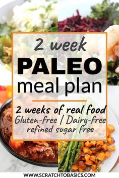 Meal Plan With Shopping List, Meal Plan With Grocery List, Smoothies Vegan, Healthy Meal Plan, Gluten Free Meal Plan, Paleo Meal Plan, Sugar Free Diet, Low Carb Diets, Dairy Free Diet