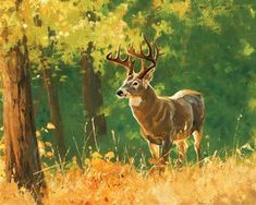 a painting of a deer standing in the woods