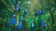 many blue and green parrots are perched on a branch