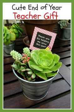 a potted plant sitting on top of a wooden table next to a sign that says, cute end of year teacher gift