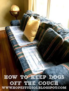 a couch with pillows on it and the words how to keep dogs off the couch