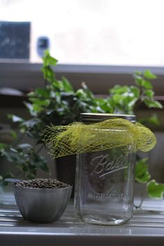 a glass jar sitting on top of a table next to a potted plant