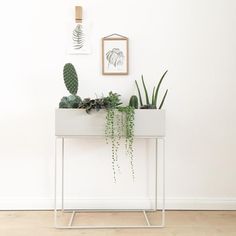 some plants that are sitting on a table in front of a wall with pictures above them