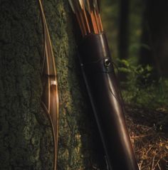 a bow and arrows leaning against a tree in the woods