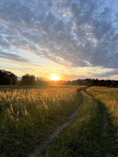 the sun is setting over a grassy field with a path leading to it and trees in the distance