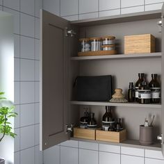 the shelves in the bathroom are filled with personal care items and toiletries, as well as a potted plant