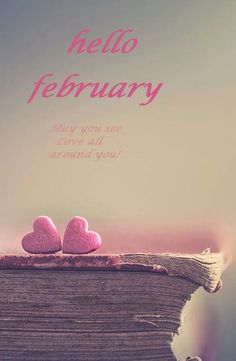 two pink hearts sitting on top of a pile of books with the words hello february