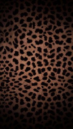 an animal print is shown in the dark