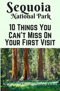 sequia national park with the words 10 things you can't miss on your first visit