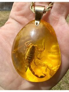 14k Solid Yellow gold Large Amber with Scorpion inside Pendant. 27.7 grams 63mm x 43mm Amber is a epoxy resin amber 10mm x 8mm opening for necklace Doesn't come with necklace This is a very unique and unusual piece, if you wanna stand out definitely is the right jewelry for you Gold Baltic Amber Necklace For Gift, Gold Jewelry With Polished Baltic Amber, Amber Jewelry With Large Pendant For Collectors, Gold Baltic Amber Round Necklace, Oval Baltic Amber Gold Jewelry, Gold Baltic Amber Jewelry With Polished Finish, Spiritual Gold Jewelry With Resin, Unique Baltic Amber Gold Jewelry, Unique Gold Baltic Amber Jewelry