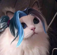 a white cat with blue and black hair