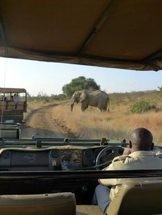 an elephant is walking in the distance as people drive by on a safari tour bus