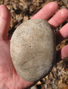 a person holding a rock in their hand