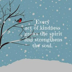 a red bird sitting on top of a tree in the snow with a quote about kindness