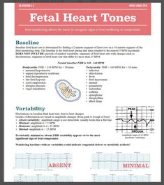 an image of a brochure with the words petal heart tones on it