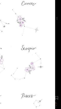 the zodiac sign is shown with flowers and stars on it's back side, as well as other symbols