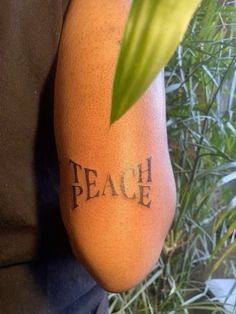 an orange with the word peace written on it and a green plant in the background