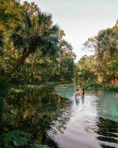 two people are in the middle of a body of water surrounded by trees and foliage