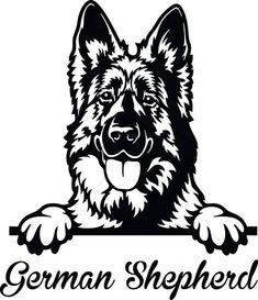 a german shepherd dog holding a sign with the words german shepherd on it royalty illustration